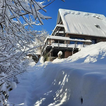 ジークスドルフ Haus Mit Bergblickヴィラ エクステリア 写真