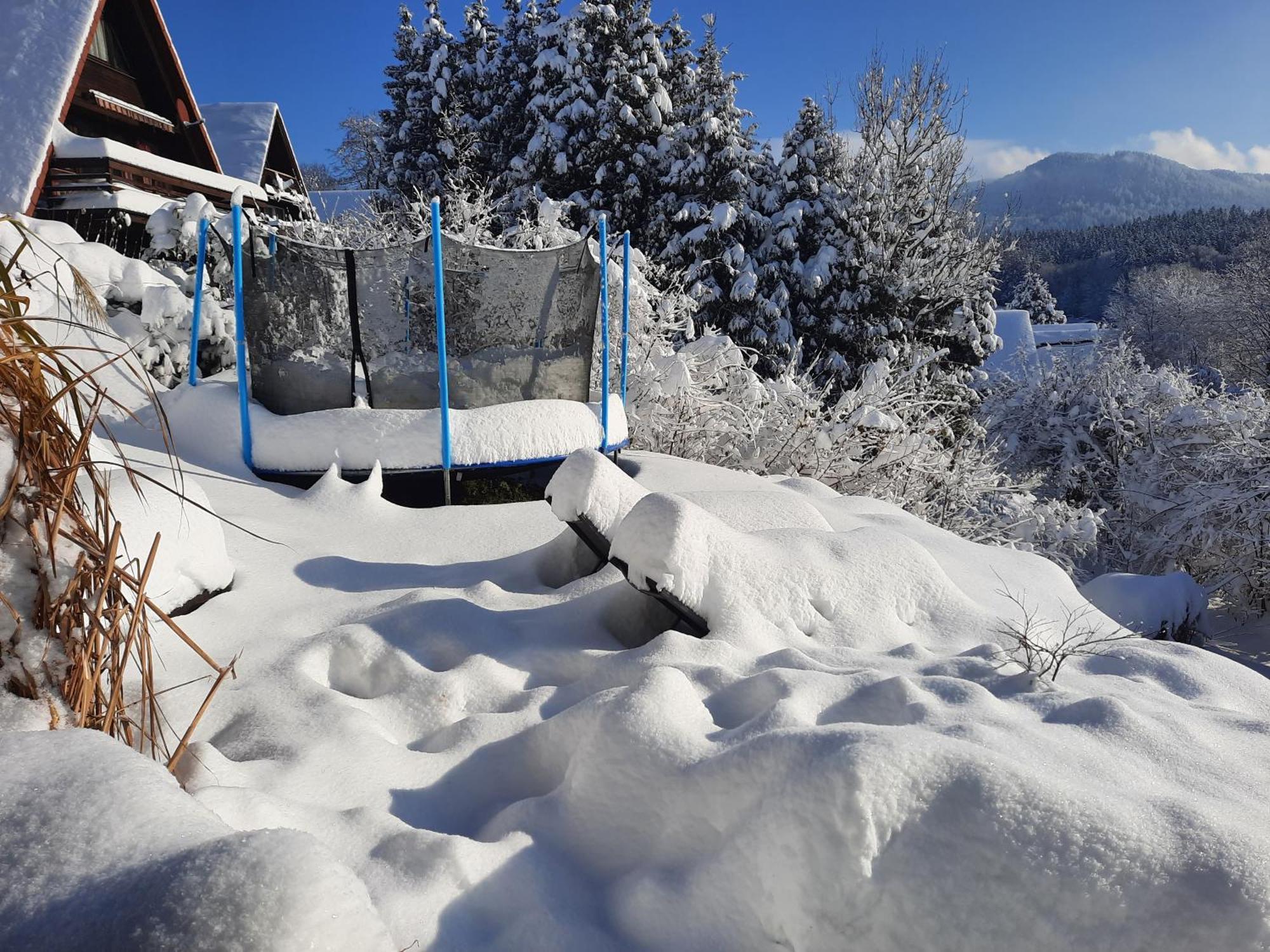 ジークスドルフ Haus Mit Bergblickヴィラ エクステリア 写真