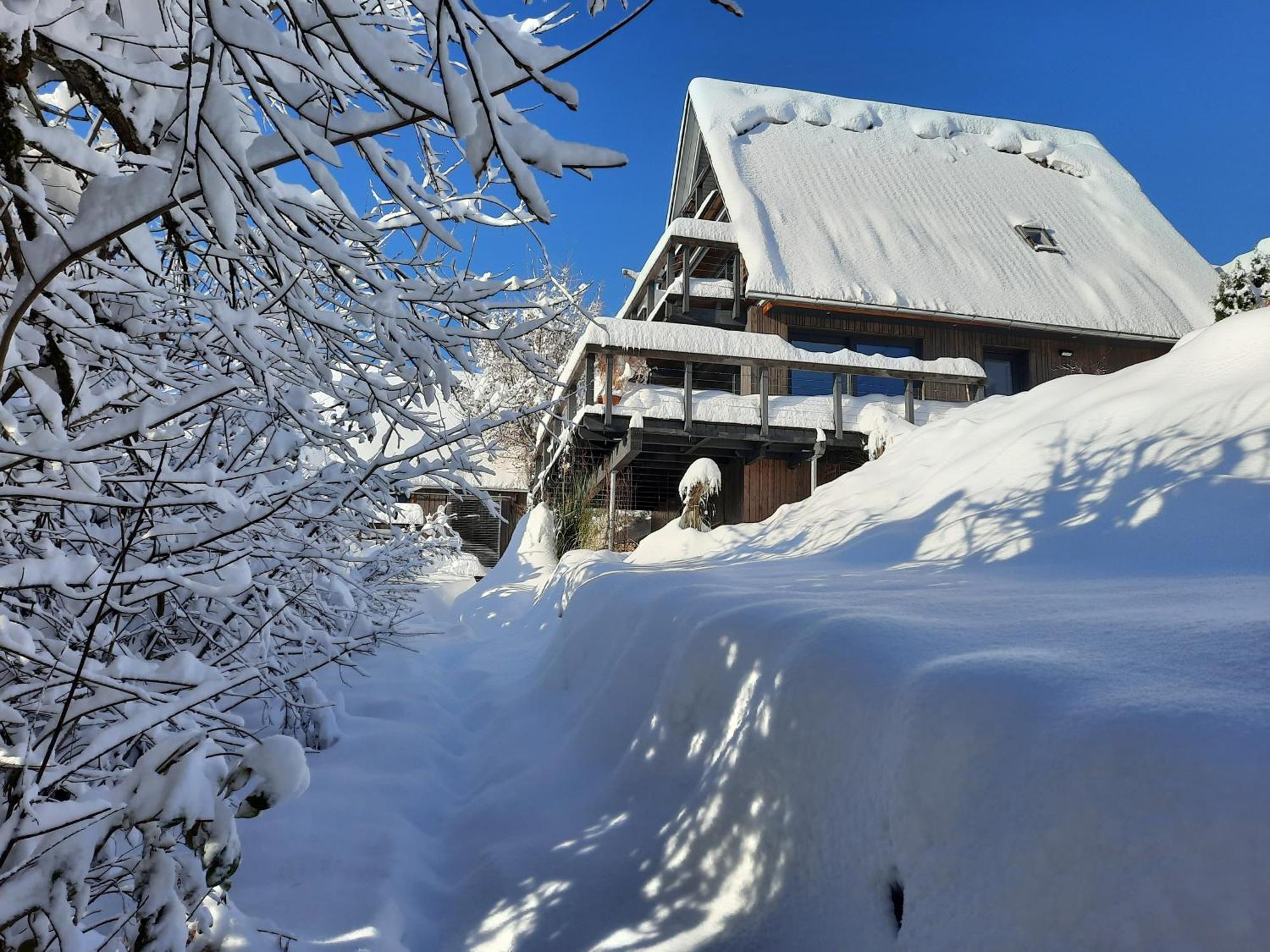 ジークスドルフ Haus Mit Bergblickヴィラ エクステリア 写真