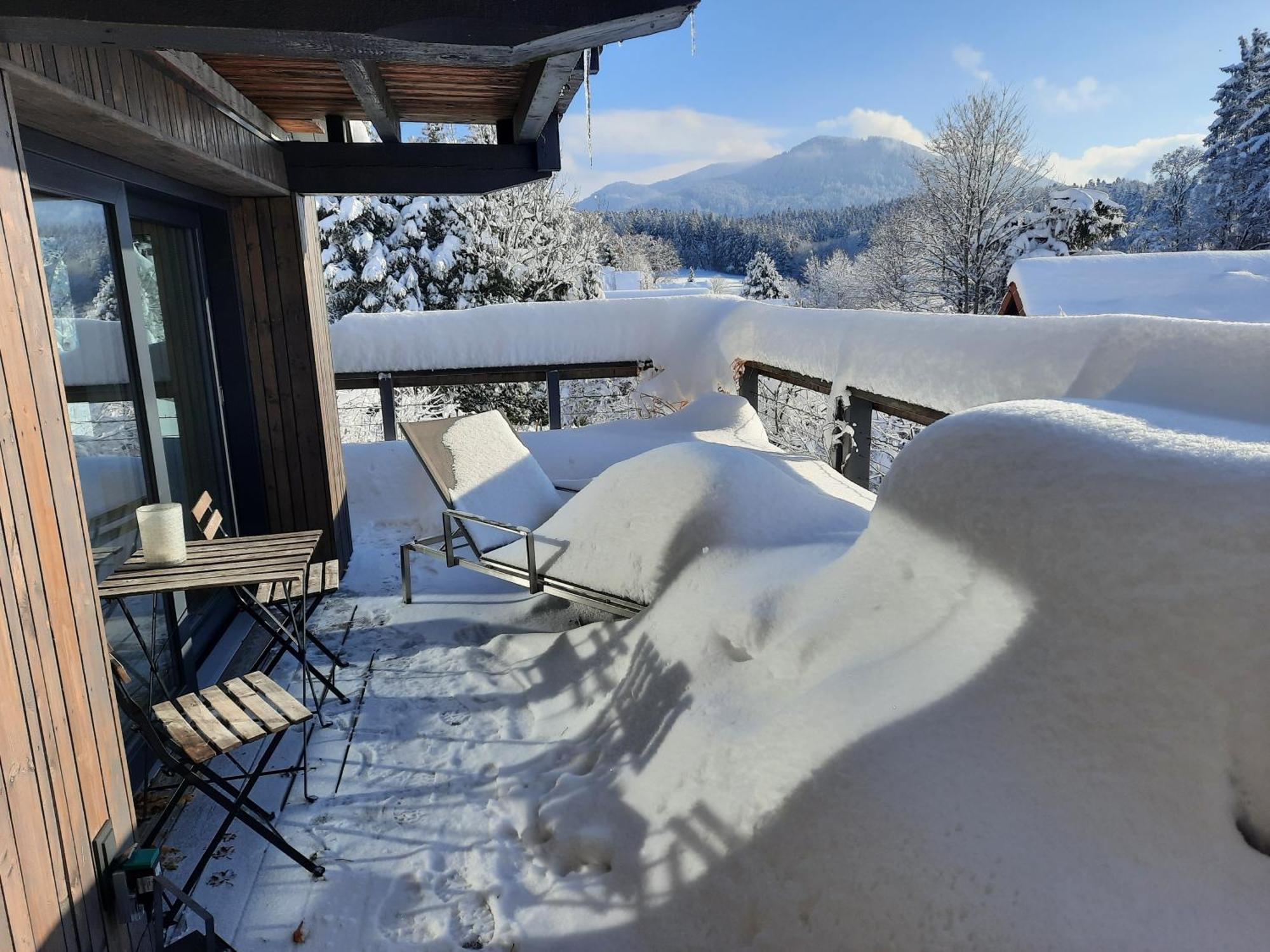 ジークスドルフ Haus Mit Bergblickヴィラ エクステリア 写真