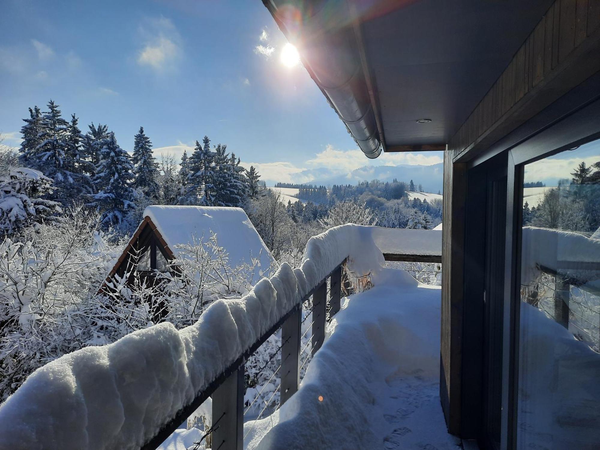 ジークスドルフ Haus Mit Bergblickヴィラ エクステリア 写真