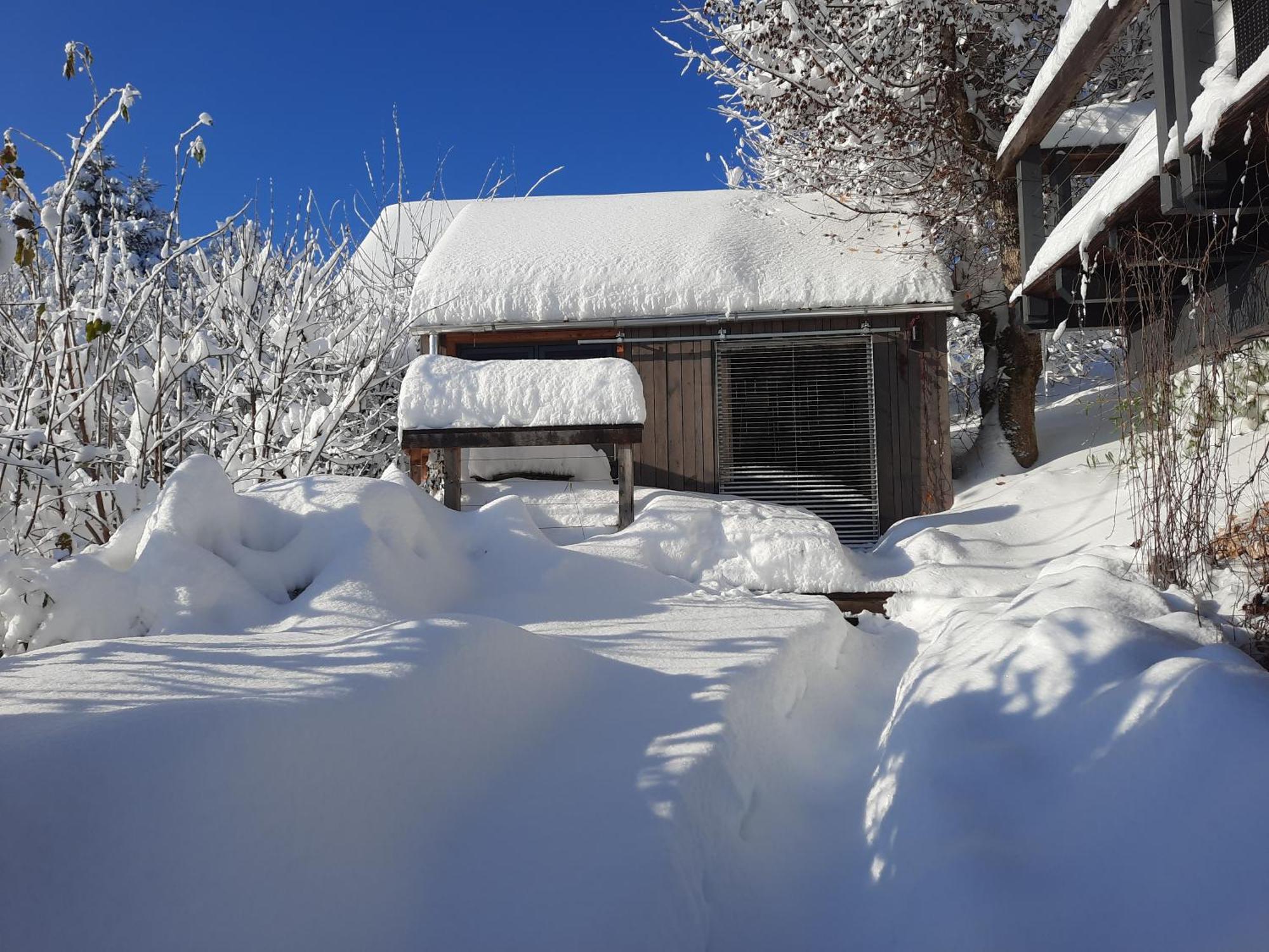 ジークスドルフ Haus Mit Bergblickヴィラ エクステリア 写真