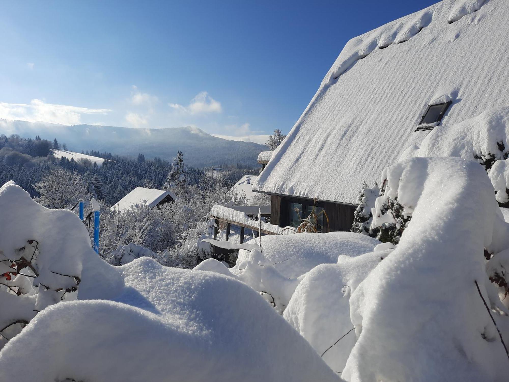 ジークスドルフ Haus Mit Bergblickヴィラ エクステリア 写真