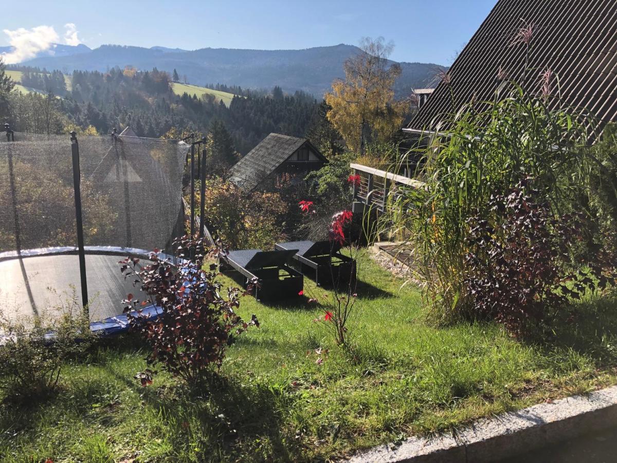 ジークスドルフ Haus Mit Bergblickヴィラ エクステリア 写真